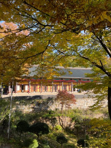 istock The Buddhist Temple in Autumn 1433505076
