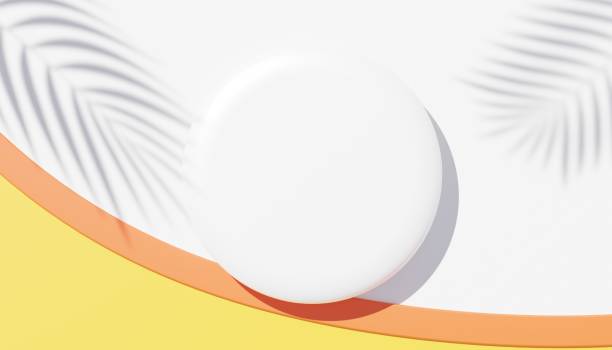 istock 3d render top view of white blank cylinder frame for mock up and display products with shadows of palm leaves, earth tone, and violet wall background. Creative idea concept. Widow shadow. 1433505295