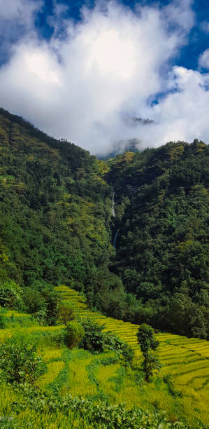 istock jharana landscape with clouds in the morning 1433511886
