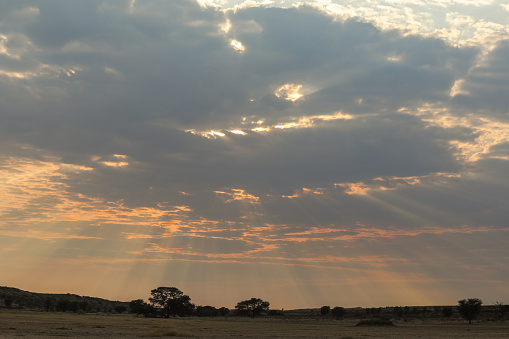 Sunrise with a oryx on the horizon in the Kgalagadi