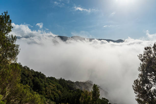 istock Hill summits above mist in Madeira island 1433516850