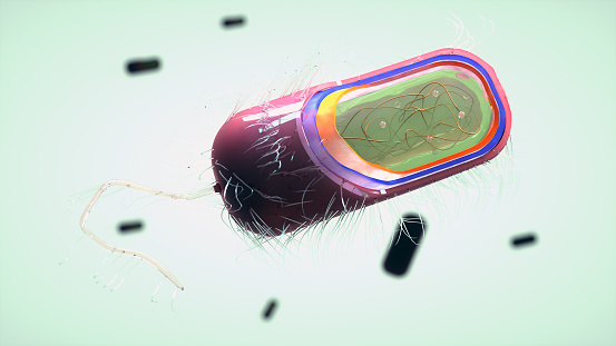 Bacteria microscopic section floating in fluid. Biological original 3D illustration.