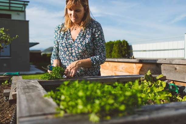 istock Women doing work outdoors in the garden  on a sunny day 1433524088
