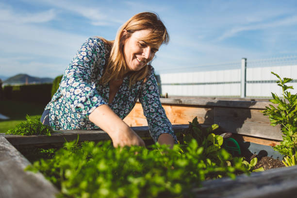 istock Women doing work outdoors in the garden  on a sunny day 1433524097