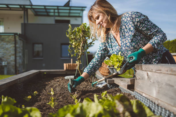 istock Women doing work outdoors in the garden  on a sunny day 1433524100