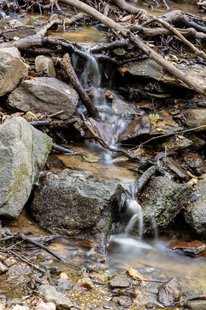 istock water flowing through a stream in the Castanar El Tiemblo, Avila (Spain) 1433529841