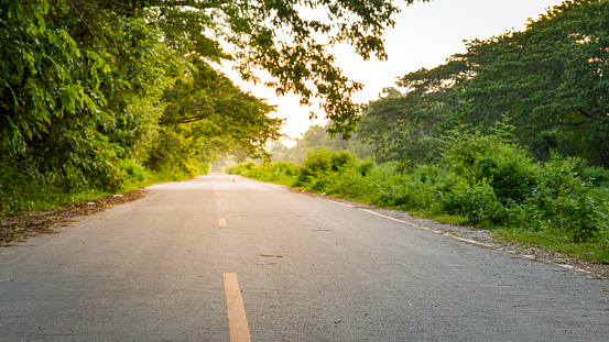 The paved road has a yellow guide line.  Surrounded by green trees. Evening time. Travel concept. Protect the environment.