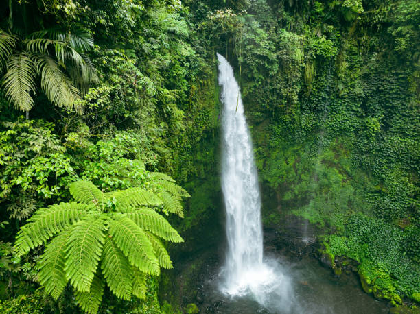 wasserfall im tropischen regenwald - wasserfall stock-fotos und bilder