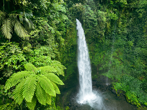 Waterfall deep down in the green tropical rainforest of Bali, Indonesia. The name of this waterfall is Nungnung and is located near the village of Ubud.