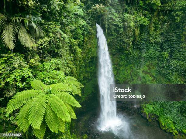 Waterfall In Tropical Rainforest Stock Photo - Download Image Now - Bali, Waterfall, Indonesia