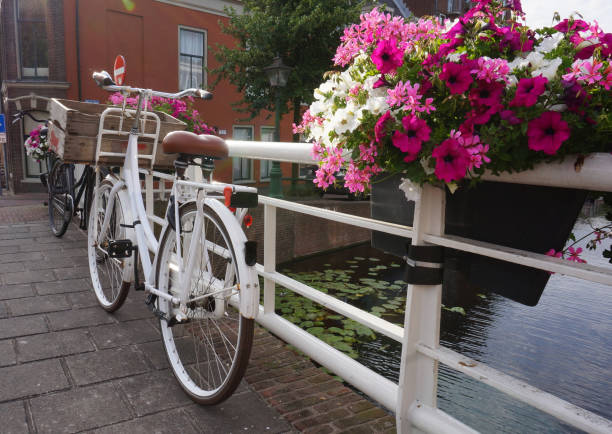 istock There are everywhere bikes in a Dutch University town 1433536309
