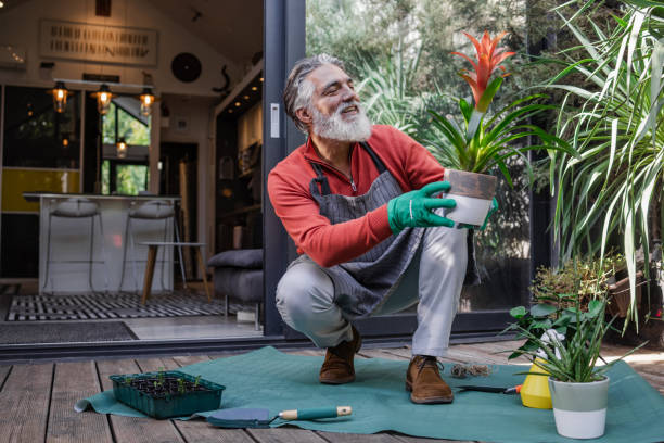 Senior male environmentalist with his plants