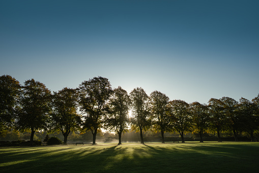 Sunrise Autumn