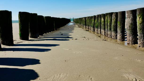 istock Wave breaker at the north sea beach 1433538414