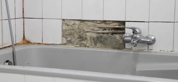 istock An old bathroom with broken white tiles and mold 1433538719