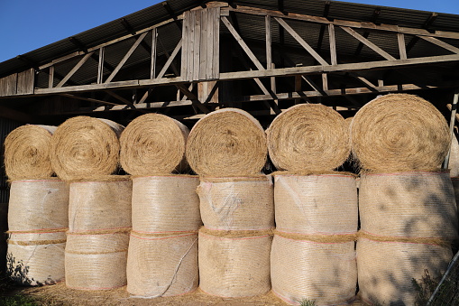 many straw bales stacked in a warehouse for the winter