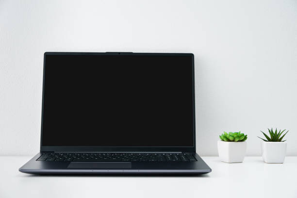 istock Office workplace with laptop and plants on table. Office interior 1433539993