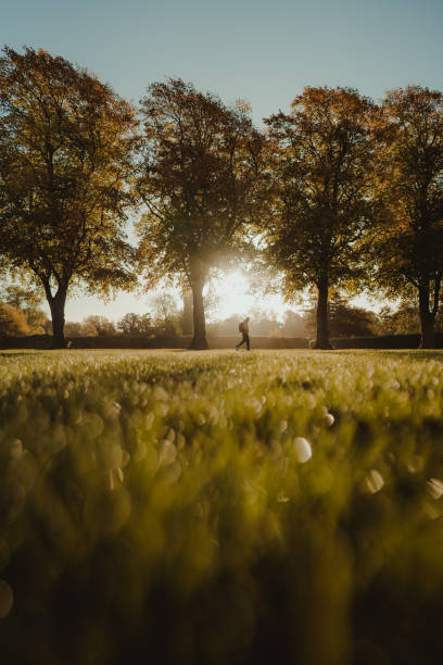 istock Morning walk at sunrise 1433540105