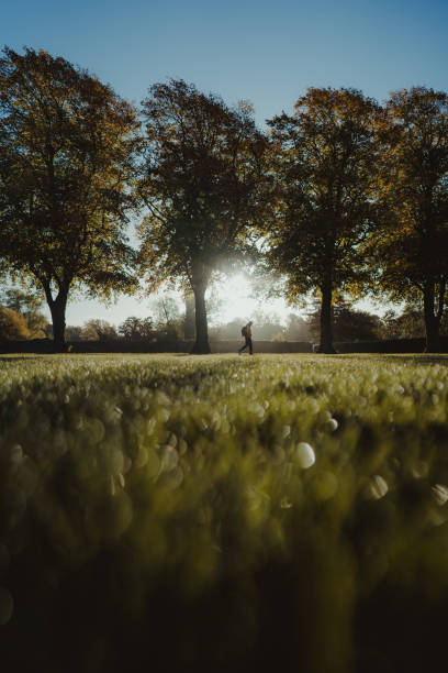 istock Morning walk at sunrise 1433540140