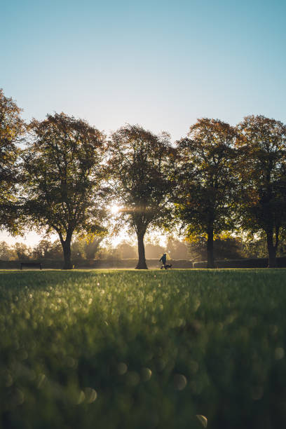 istock Morning walk at sunrise 1433540152