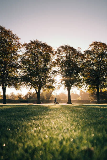 istock Morning walk at sunrise 1433540173