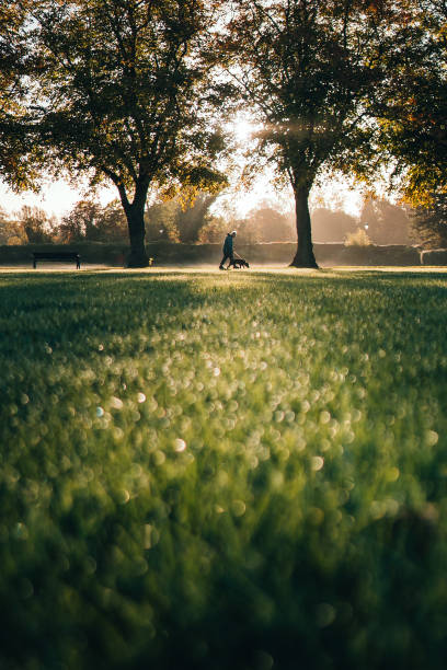 istock Morning walk at sunrise 1433540190