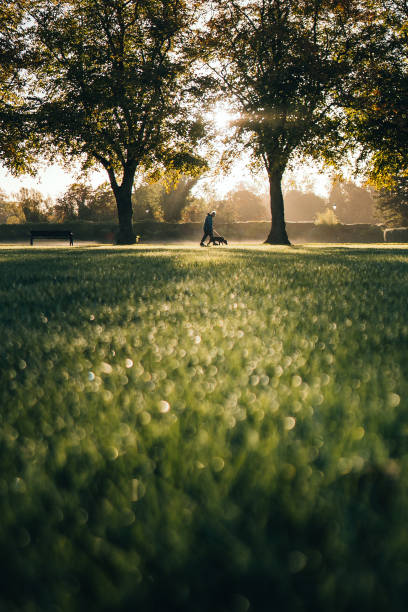 istock Man and dog morning walk at sunrise 1433540273