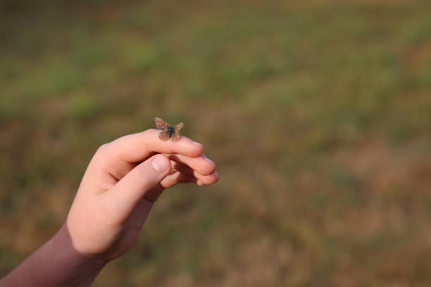 istock Butterfly sits on a hand of child 1433545510