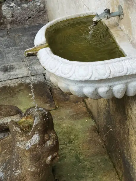 fountain in the   garden of the  Villa Barbarigo in Valsanzibio at the Colli Euganei in Venetia in  Italy