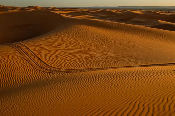 istock Footprints on brown sand in a desert in Dubai on a sunny day 1433548889
