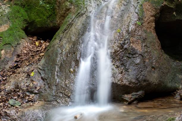 istock Scenic shot of a small waterfall streaming into a river in a forest 1433550095