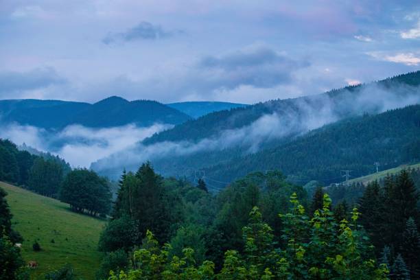 istock Aerial view of mountain landscape surrounded by dense trees 1433550623