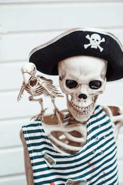 istock Halloween skeleton character in pirate costume with cocked hat black 1433551115