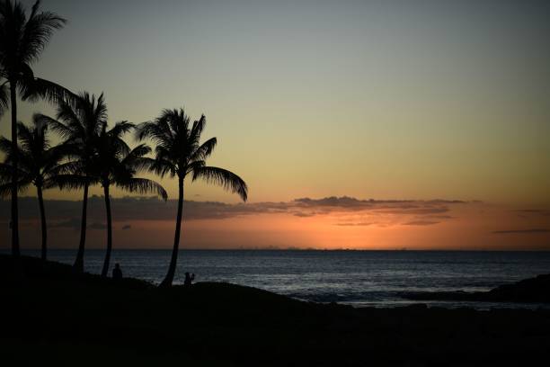 istock Sunset at a beach with palm tree silhouettes and people taking photos 1433551349