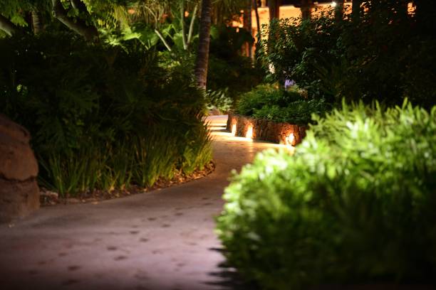 istock Narrow illuminated trail in a park surrounded by various trees and plants 1433551573