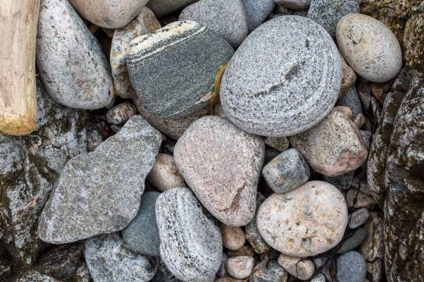 istock Closeup shot of rounded beach pebbles at the shore 1433551826