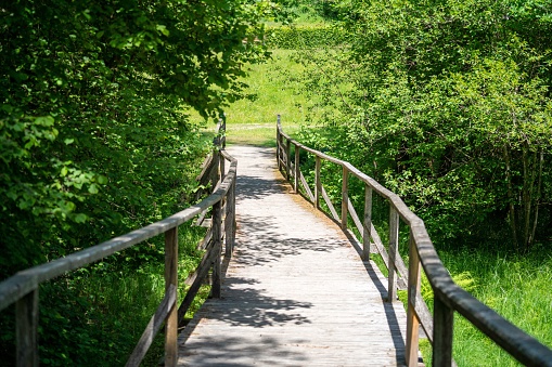 A wooden bridge in the park surrounded by green vegetation.
