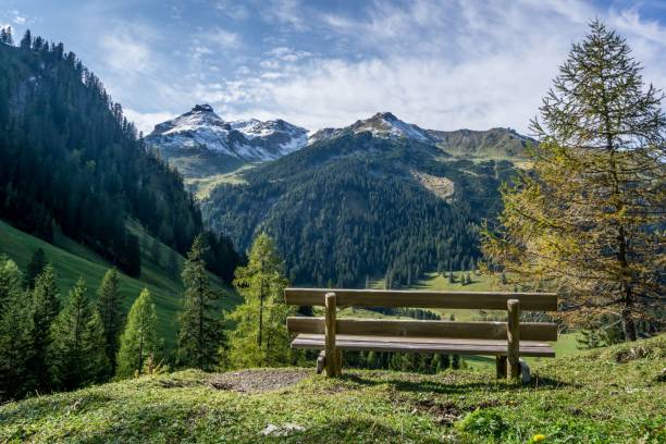 istock Single bench on a hill with a view of mountains and trees 1433555312