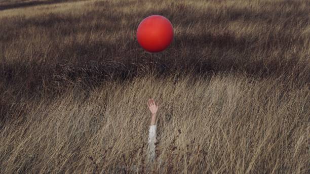 istock Person throwing a red balloon up in a field 1433556689