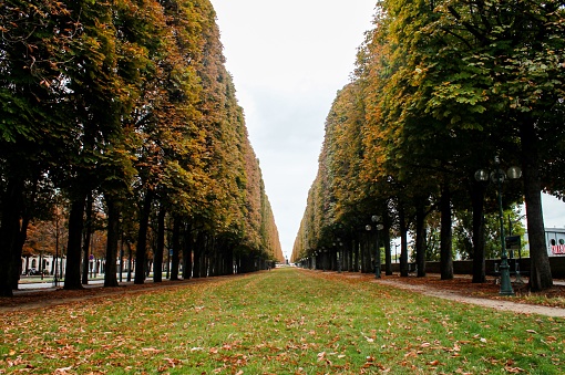 A beautiful view over the trees in Erevan Garden symmetrically put in order in Paris under a cloudy sky