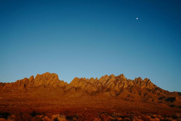 istock And a sandy landscape with a clear blue nightfall sky in the background 1433558083