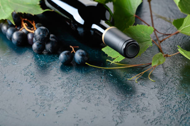 Red wine bottle, vine twig, and blue grapes. stock photo