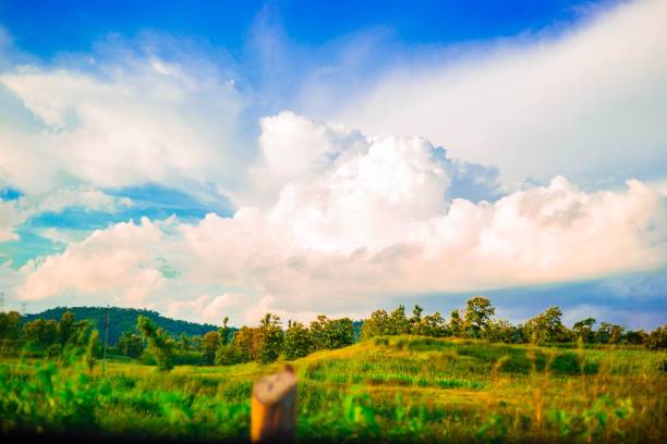A beautiful green field at sunrise