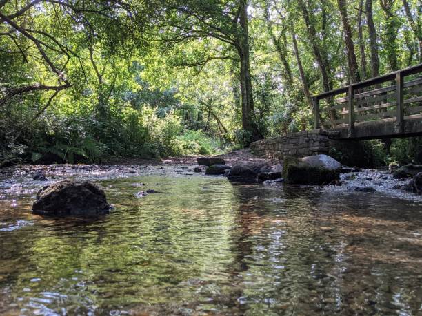 istock Old bridge over a rocky lake in a green forest 1433563200