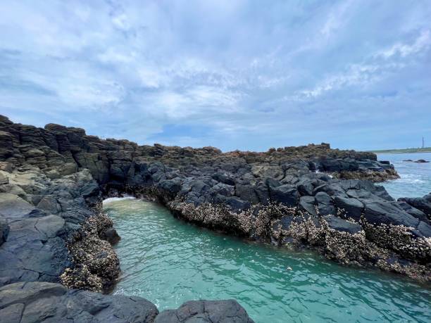 Rocky shore with a view of the sea A rocky shore with a view of the sea artifical grass stock pictures, royalty-free photos & images