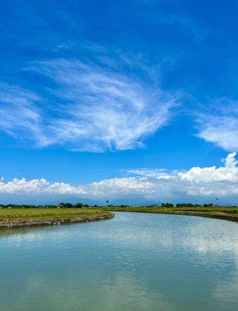 Scenic view of an artificial lake under a bright cloudy sky A scenic view of an artificial lake under a bright cloudy sky artifical grass stock pictures, royalty-free photos & images