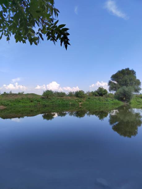 istock Calm river flowing downstream against forest landscape on a sunny day 1433565160
