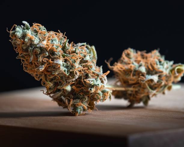 Orange and green colored cannabis plant put on a surface on black background