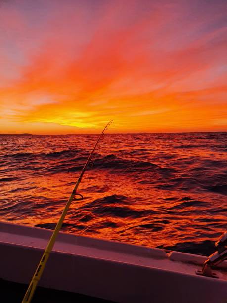 istock View of fishing during sunset 1433565614