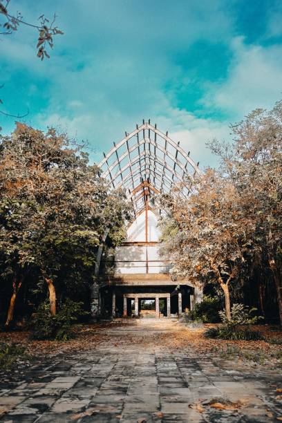 tiro vertical da capela wayfarers contra um parque com árvores de outono na califórnia - wayfarers - fotografias e filmes do acervo